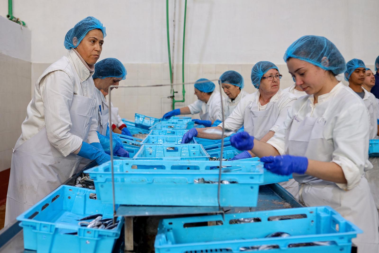 Predsjednik Milanović posjetio je tvrtku Mardešić u Salima