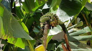 Đir uz more 19. srpnja 2016. – Uvala Draženica, kupalište Jadran, Moprske orgulje i Pozdrav suncu, zadarska riva… Foto: Mladen Malik Đir uz more 19. srpnja 2016. – Uvala Draženica, kupalište Jadran, Moprske orgulje i Pozdrav suncu, zadarska riva… Foto: Mladen Malik