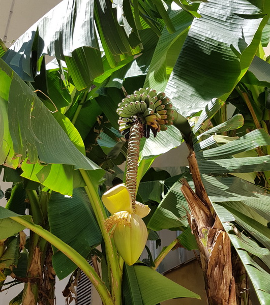 Đir uz more 19. srpnja 2016. – Uvala Draženica, kupalište Jadran, Moprske orgulje i Pozdrav suncu, zadarska riva… Foto: Mladen Malik Đir uz more 19. srpnja 2016. – Uvala Draženica, kupalište Jadran, Moprske orgulje i Pozdrav suncu, zadarska riva… Foto: Mladen Malik