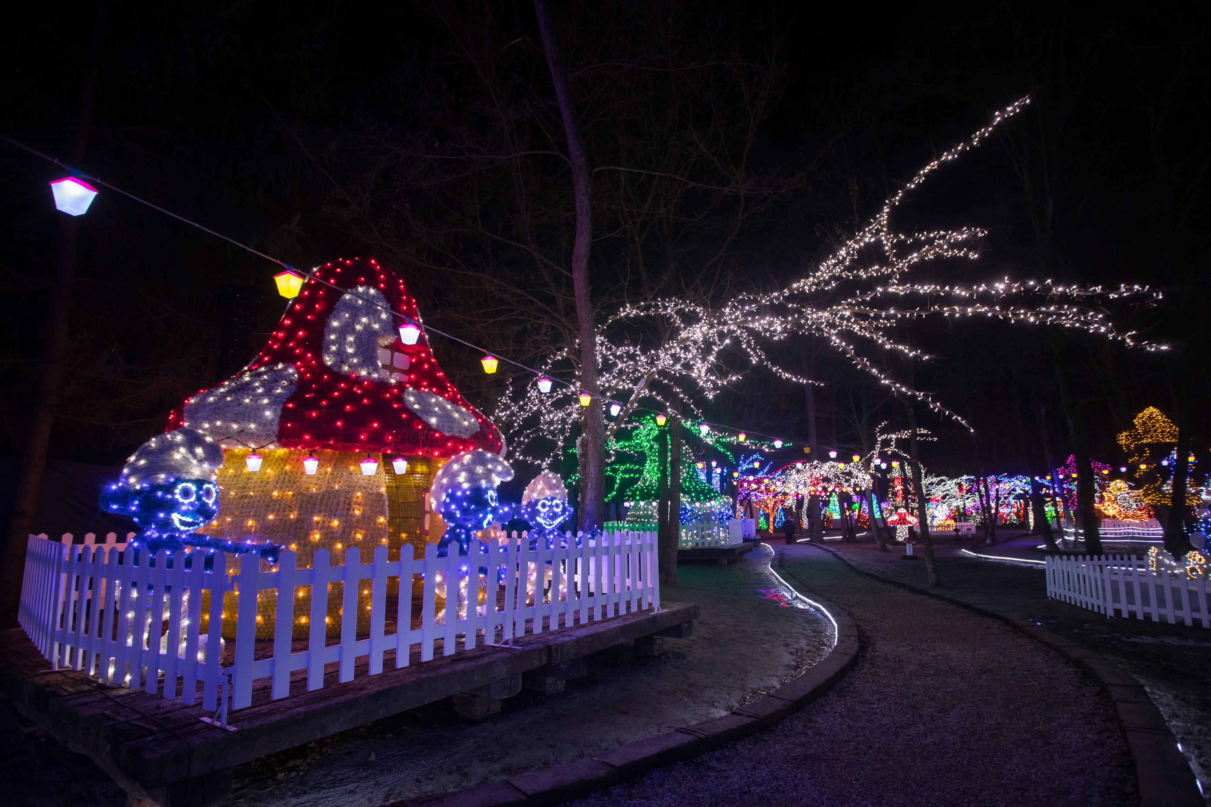 Još raskošnije izdanje: pogledajte kako izgleda Božićna priča obitelji Salaj gdje je ove godine zasjalo rekordnih 2.5 milijuna lampica