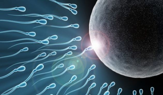 Sperma (http://metro-portal.hr/)