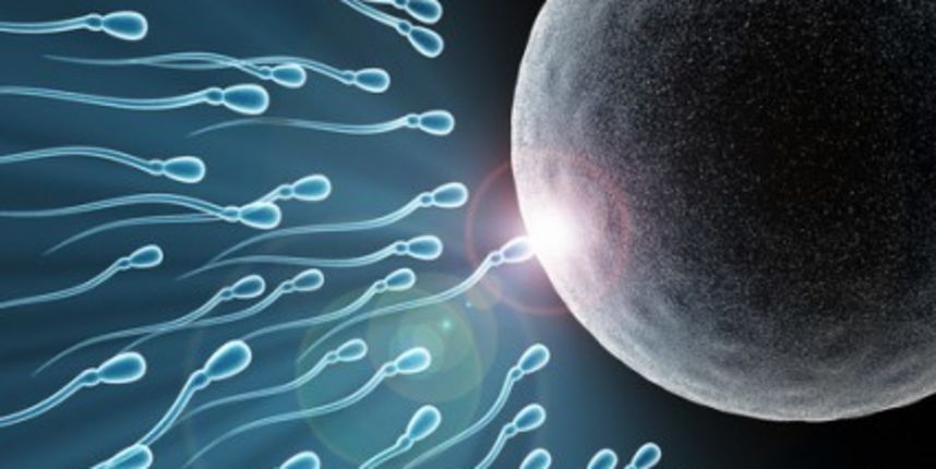 Sperma (http://metro-portal.hr/) Sperma (http://metro-portal.hr/)