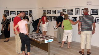 Josip Portada: Pag u boji