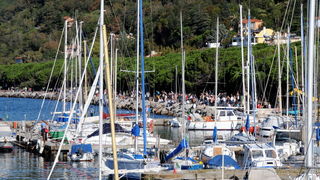 Trst: Barcolana 2009.