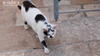 Večernji đir po gradu 3. listopada 2023. Večernji đir po gradu 3. listopada 2023.