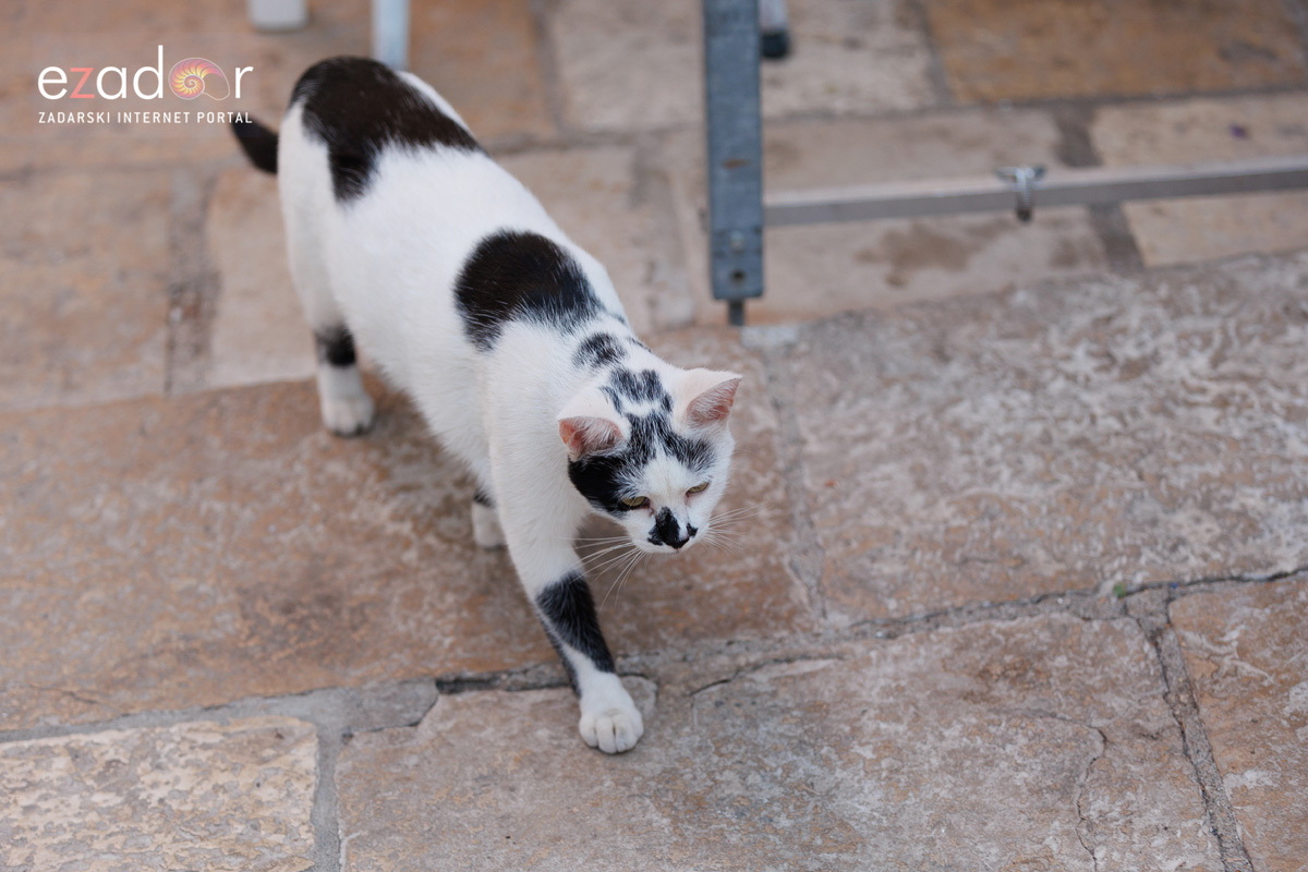 Večernji đir po gradu 3. listopada 2023. Večernji đir po gradu 3. listopada 2023.