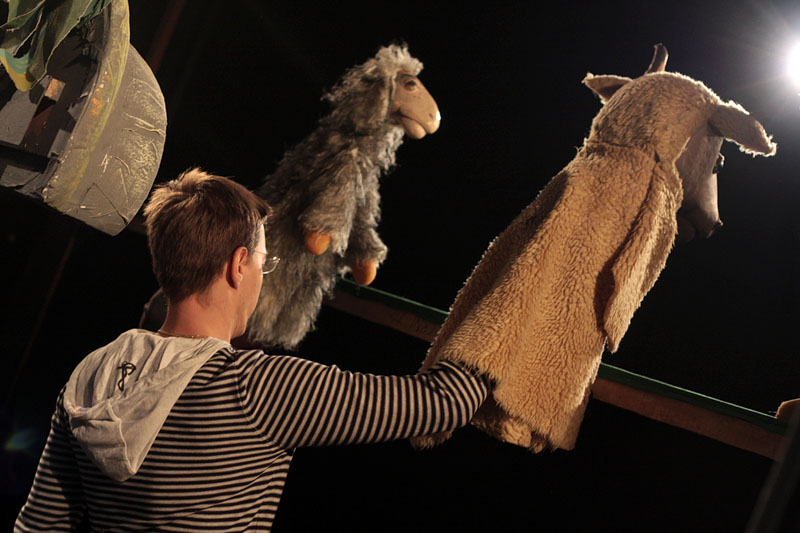 Betlehemska ovčica Betlehemska ovčica