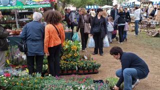 Sv. Filip i Jakov – 10. Dani cvijeća, 24. i 25. travnja 2010. (Foto: Vedran Penga)