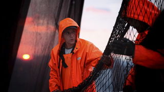 Zadar, 211009.
Brod Bruno tvrtke Dalmacija ribolov iz Zadra dva je dana lovio srdele  u akvatoriju Losinja i Dugog otoka.
Na fotografiji: ribar Toni Copic slaze mrezu u zoru.
Foto: Vladimir Ivanov / CROPIX