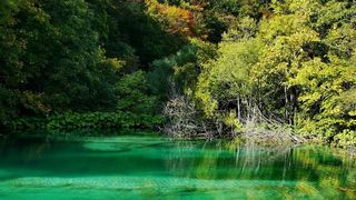 NP Plitvička jezera, listopad 2021.