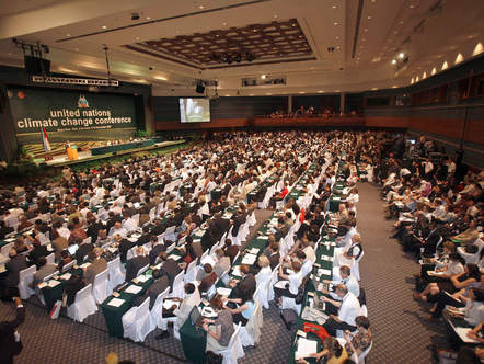 Image 1195797 (auto) Image 1195797 (auto)