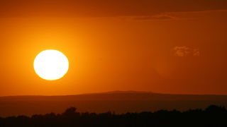 Image 1207457 (auto)