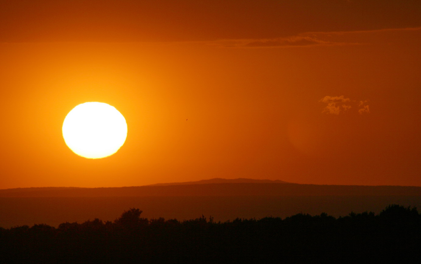 Image 1207457 (auto)