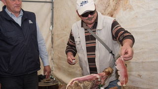 U Vrtovima lunjskih maslina održana 12. Lunjska maslinada. Foto: Vinko Pešić