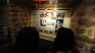 Zadar, 230413
Caffe bar Djina. 
Otvoranje izlozbe Sfinga u Zadru – jucer, danas, sutra, autorice prof. Antonije Mlikote i studenata Odjela za povijest umjetnosti zadarskog sveucilista u sklopu festivala znanosti.
Na fotografiji: detalj s otvorenja.
Foto: