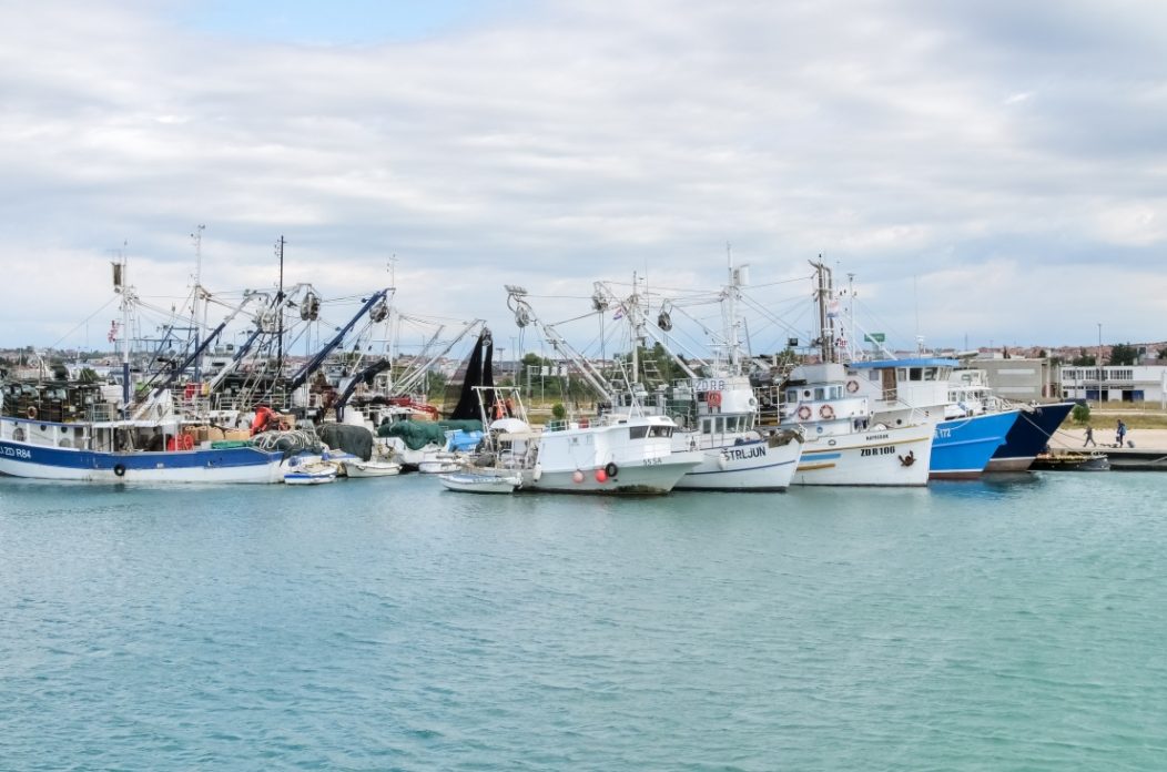 ribari, brodovi, marikultura ribari, brodovi, marikultura