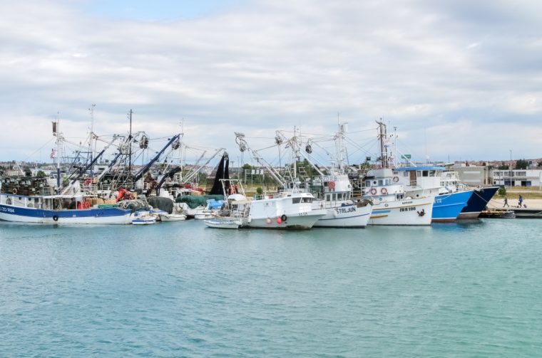 ribari, brodovi, marikultura