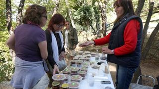 Nacionalni park Krka bilježi rekordan broj posjetitelja. Photo: Duško Jaramaz/PIXSELL