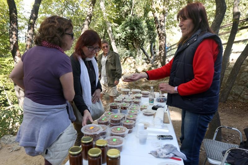 Nacionalni park Krka bilježi rekordan broj posjetitelja. Photo: Duško Jaramaz/PIXSELL