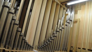 Nove orgulje u katedrali Svete Stosije u Zadru, Foto: Darko Dilber