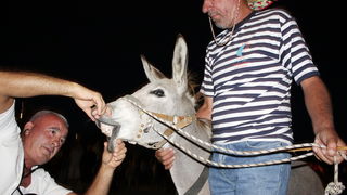 Sukosan: 40. Trka tovarov “Memorijal kenje Vijole” i 6. Noc svicarenja 8. kolovoza 2010. Sukosan: 40. Trka tovarov “Memorijal kenje Vijole” i 6. Noc svicarenja 8. kolovoza 2010.