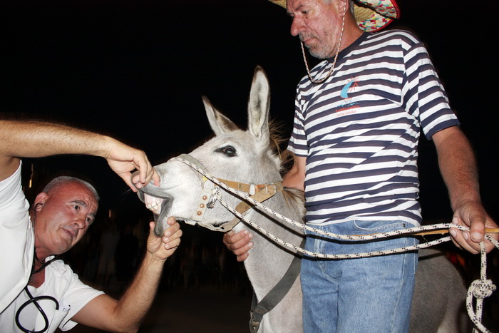 Sukosan: 40. Trka tovarov “Memorijal kenje Vijole” i 6. Noc svicarenja 8. kolovoza 2010. Sukosan: 40. Trka tovarov “Memorijal kenje Vijole” i 6. Noc svicarenja 8. kolovoza 2010.