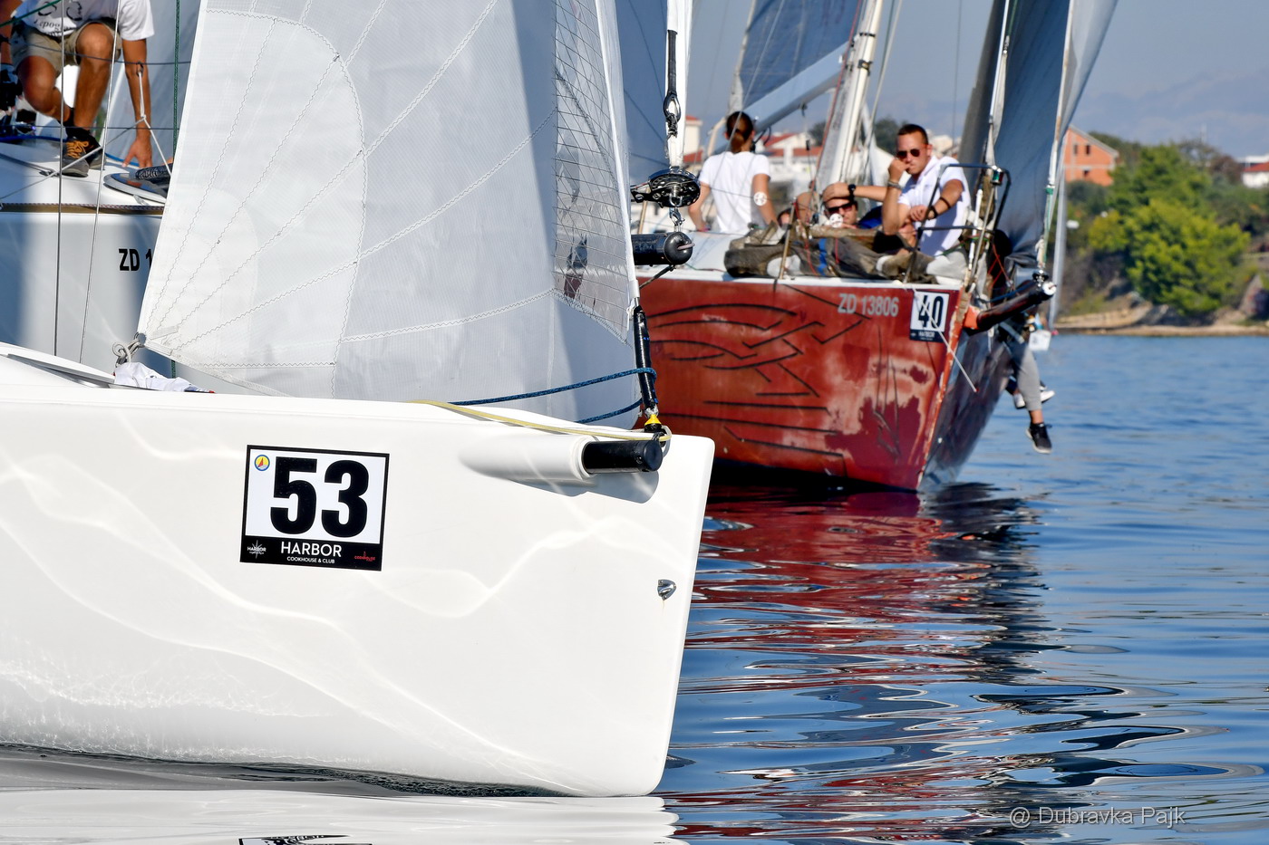 Sva lica “Zadarske koke” Sva lica “Zadarske koke”