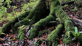 NP Plitvička jezera, listopad 2021.