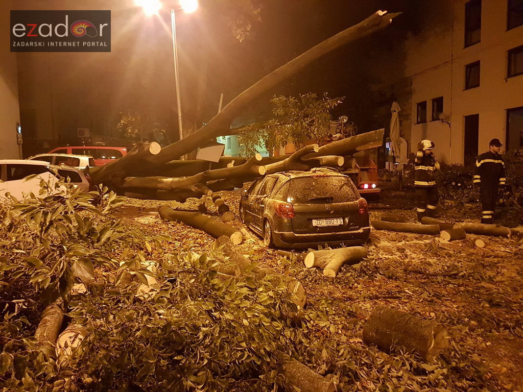 Jak vjetar srušio stablo na parkirane automobile kod OŠ Petar Preradović na Poluotoku