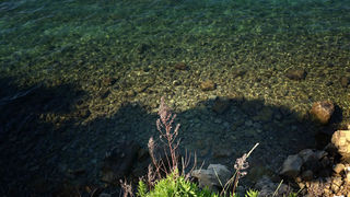 Jutarnji đir Puta Bajlom, foto: Iva Perinčić