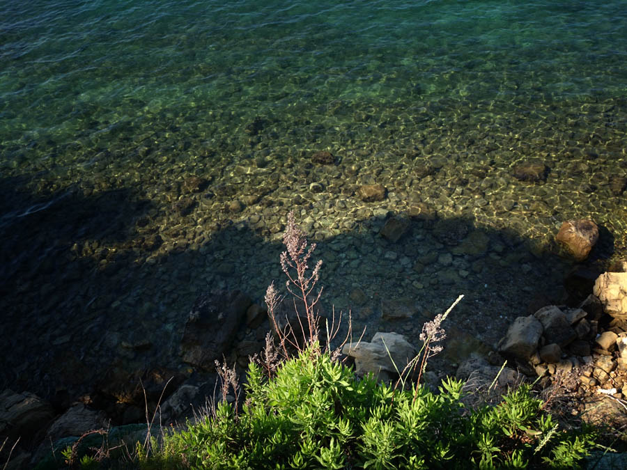 Jutarnji đir Puta Bajlom, foto: Iva Perinčić