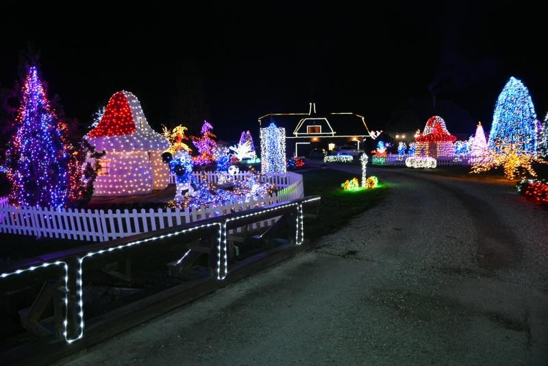 Dva milijuna lampica za božićnu čaroliju na imanju Salaj