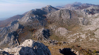 OLYMPUS DIGITAL CAMERA OLYMPUS DIGITAL CAMERA