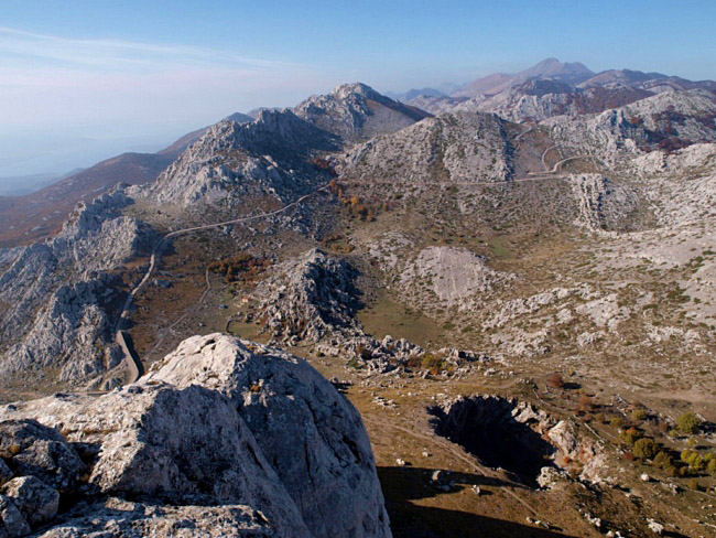 OLYMPUS DIGITAL CAMERA OLYMPUS DIGITAL CAMERA