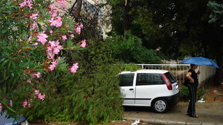 18.7.2009. Posljedice nevremena u ul. F. Tudjmana i B.J.Jelacica u Zadru 18.7.2009. Posljedice nevremena u ul. F. Tudjmana i B.J.Jelacica u Zadru