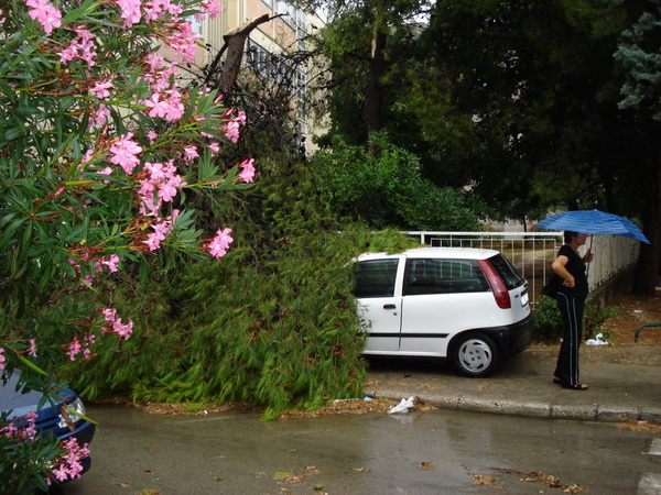 18.7.2009. Posljedice nevremena u ul. F. Tudjmana i B.J.Jelacica u Zadru 18.7.2009. Posljedice nevremena u ul. F. Tudjmana i B.J.Jelacica u Zadru