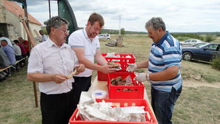 Proslavljen blagdan sv. Petra u Morpolači