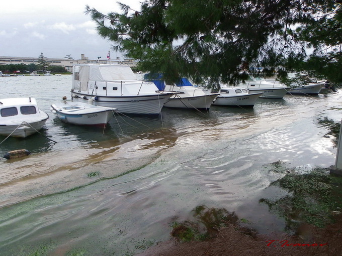 Plima u uvali Bregdetti, foto: T. Ivanov