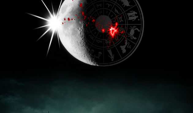 Image 1204523 (auto)