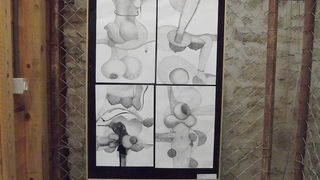 Kneževa palača: Otvorenje Godišnje izložbe HDLU-a Zadar