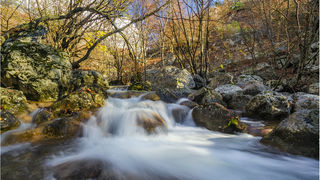 Jesen u kanjonu Velike Paklenice