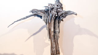 “Stađuni”: Izložba Karin Grenc u Biogradu na moru “Stađuni”: Izložba Karin Grenc u Biogradu na moru