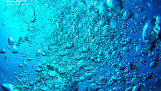 U spomen: Roberto Lerga 1966. – 2016. U spomen: Roberto Lerga 1966. – 2016.