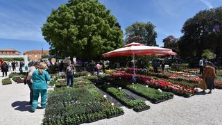 Svečano otvorena 2. Vrtna izložba “Cvijet Zadra” u organizaciji tvrtke Nasadi d.o.o. Foto: Dino Stanin/PIXSELL