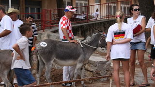 Image 1088983 (auto)