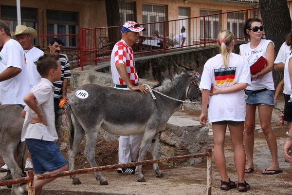 Image 1088983 (auto)