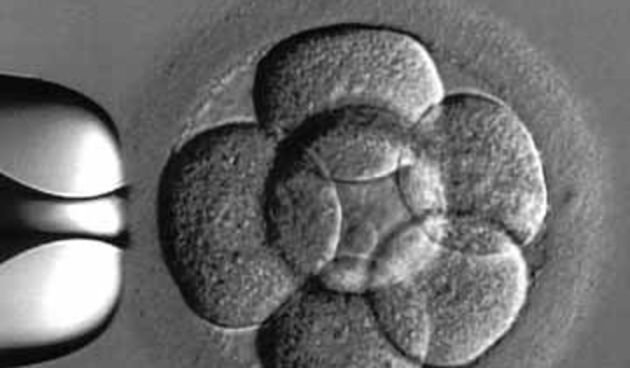ljudski embrij – kloniranje