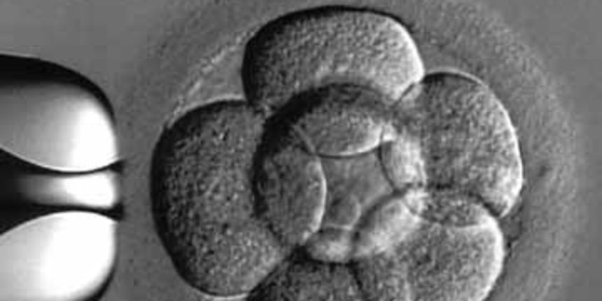 ljudski embrij – kloniranje ljudski embrij – kloniranje