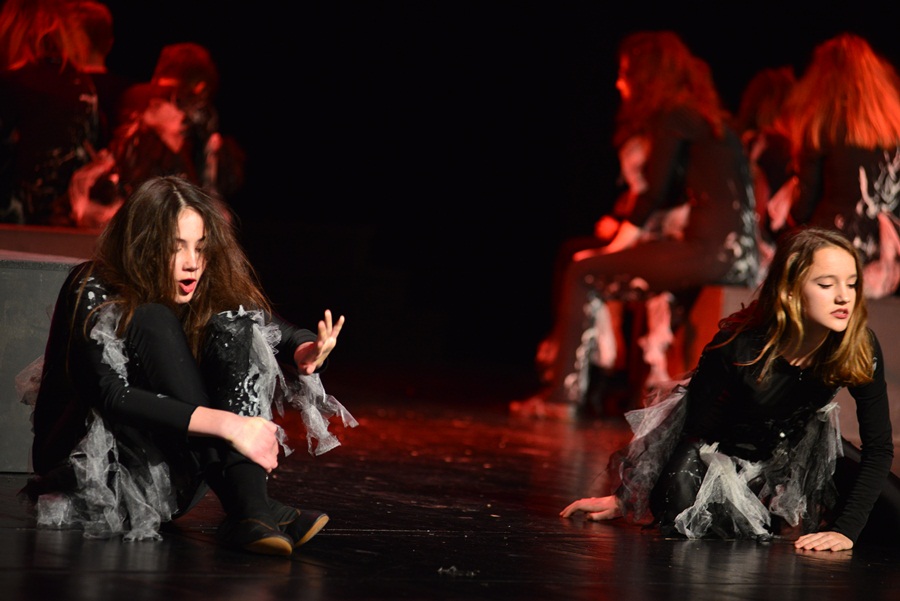 Premijera predstave “U sjeni” udruge “Igrajmo se” Premijera predstave “U sjeni” udruge “Igrajmo se”