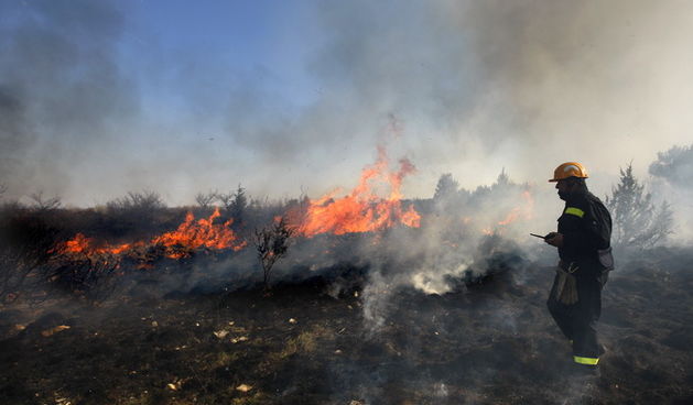 Pozar Bokanjac, Foto: Jure Miskovic / CROPIX